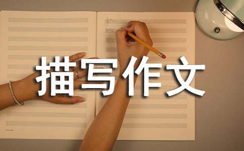 篮球基本功训练顺序口诀是什么_1